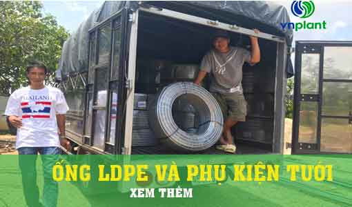 ỐNG PE VÀ PHỤ KIỆN ỐNG PE